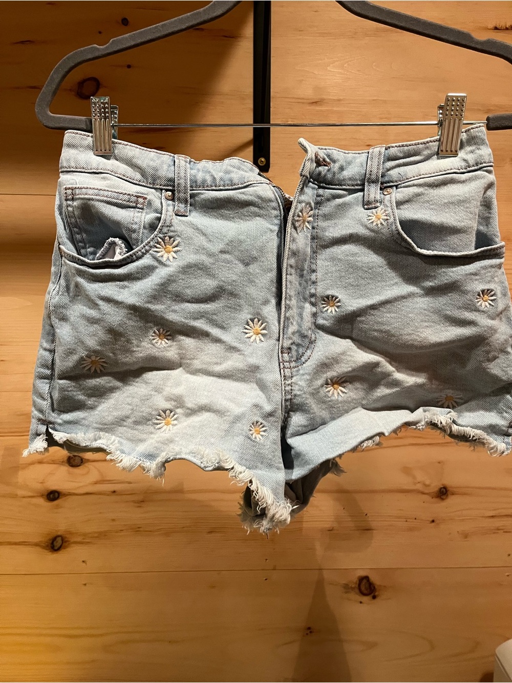 Celebrity Pink Light Blue Daisy Embroidered Denim Shorts